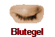 Blutegel